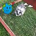 Abigail Wallis - Facebook