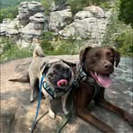 Abigail Walter - Facebook