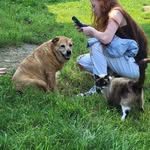 Abigail Weber - @weberabigail60 - Instagram