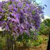 Gail Wharton - Facebook