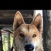 Gail Wharton - Facebook