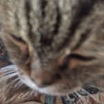 @abigail_wheatley123 - Instagram