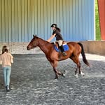 abigail wheeler - @that_equestrian.weirdo - Instagram