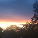 𝔸𝕓𝕚𝕘𝕒𝕚𝕝 - @abigail_whitmore1332 - Instagram
