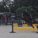 Abigail Wiley - @phoenixequestrian1111 - Instagram