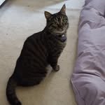 Abigail Willmer - @willmerabigail - Instagram