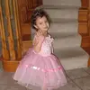 Abigail - @abigailwinner - TikTok