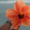 Maria 🏵️ - @abigailswim - TikTok
