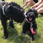 Abigail & Winston - @abbywinny - Instagram
