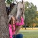 Abby Wolfe - Facebook
