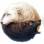 Abigail wolfe - @frosty_the_wolf_2444 - Instagram