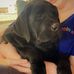 Abby Wolfenbarger - Facebook