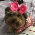 Abigail Woolsey - @woolsey588 - Instagram