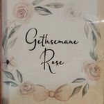 Abigail Workman - @gethsemane_rose - Instagram