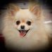 Abigail Yager - Facebook