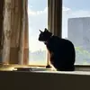 Abigail Yang - @abigail.yang8 - TikTok