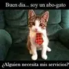 Abigail Yépez - @abigailyépez - TikTok
