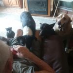 Abigail York - @i_love_all_my_pets_ - Instagram