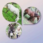 Abigail Lee Yost - @abigail_yost - Instagram