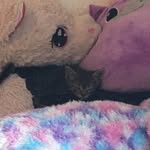 Abigale Smith - @abigalesmith954 - Instagram