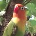 Abilio Esteves - Facebook