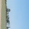 Abilio Guevara - @abilio.guevara4 - TikTok