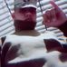 Abilio Guevara Cieza - Facebook