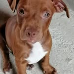 Abilio Ibañez Navarro - @abilio_ibanez - Instagram