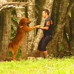 Abilio Jose Ramirez - @josera_21_5 - Instagram