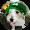 Abimael Serna - @abimael.serna0 - TikTok