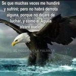Abimael Serrano - @abimaelserrano120 - Instagram