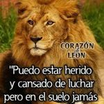 Abimael Serrano - @serranoabimael55 - Instagram