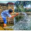 abinclement - @user83270603 - TikTok