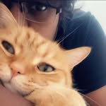 Abinaya Ram - @abinaya_ramasamy - Instagram
