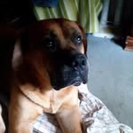 Able Cole - @abes_acc - Instagram