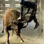 Abner Castillo - @abner_castillo_24_ - Instagram