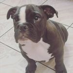 Abner lugo - @abner_lugo05 - Instagram