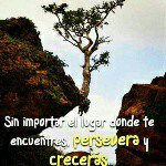 Abner Osorio - @abner_osorio - Instagram