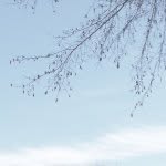 🌿 h a v e   a   s e a t. - @about_time__ - Instagram