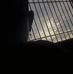 Abraham Allen - Facebook