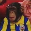 Abraham Anderson - @abrahamanderson05 - TikTok