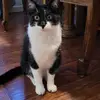 Binu Abraham - @binu.abraham6 - TikTok