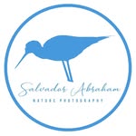 Salvador Abraham | Bird Photography - @cas_niuer - Instagram