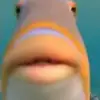 Abraham Bitar - @ligmahahasofunny - TikTok