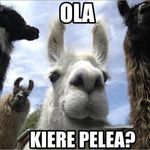 Abraham Bitar - @abrahamelol16 - Instagram