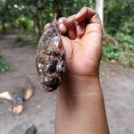 Abraham Blake - @abrahamblake41 - Instagram