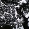 Abraham Blas - @abrahamblas13323 - TikTok