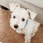 Cinder Abraham Bloch - @cinder_bloch - Instagram