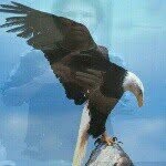 Abraham G Bob - @abrahambobjr - Instagram