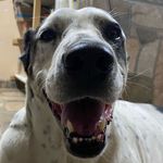Abraham Bolaños - @abraham.bolanosca - Instagram